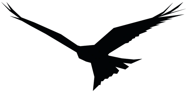 Hawk